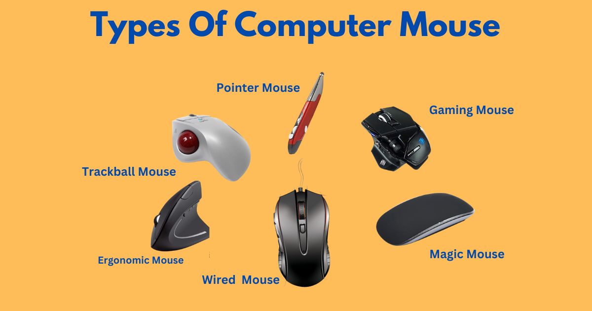 The Different Types Of Computer Mouse